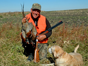 Pheasants North Dakota Sundin