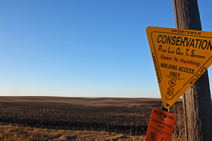 image of black dirt in plowed field