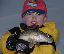 Hey dad, look at this Walleye!