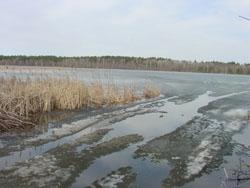 Ice Melting At Landing