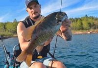 image links to Bass Fishing Video