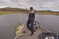 image links to bass fishing video