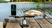 image links to fishing artcile about growing demand on fish populations