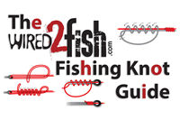 image links to fishing knots article