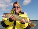 Julie always catches fish like this great Cass Lake Walleye