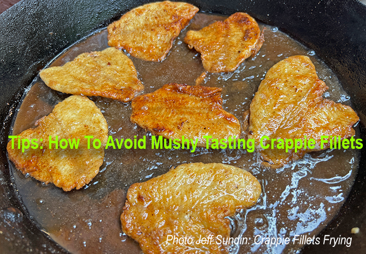 image links to article about cooking panfish, and how to avoid mushy tasting crappie fillets