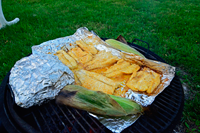image of grilled Northern Pike