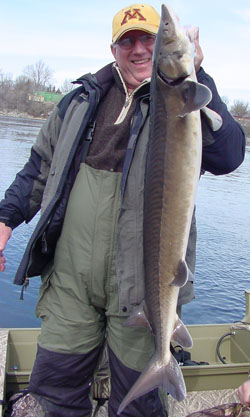 Rainy River Sturgeon Arne Danielson