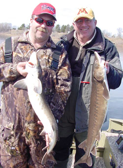 Sturgeon Danielson and Dorholt Rainy River