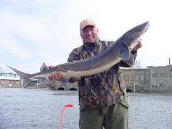 Rainy River Sturgeon Sundin