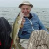 Walleye Joe Stevens 61506