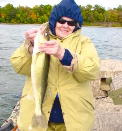 Walleye, Sandy Finch