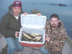 image of anglers with limits of walleye
